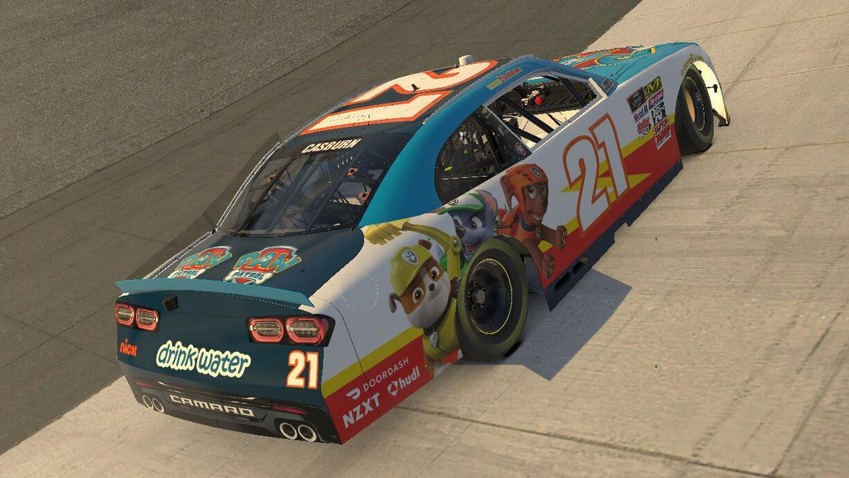 A PAW Patrol-sponsored NASCAR race car